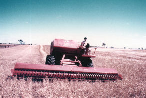 1974 at mayer's farm.jpg